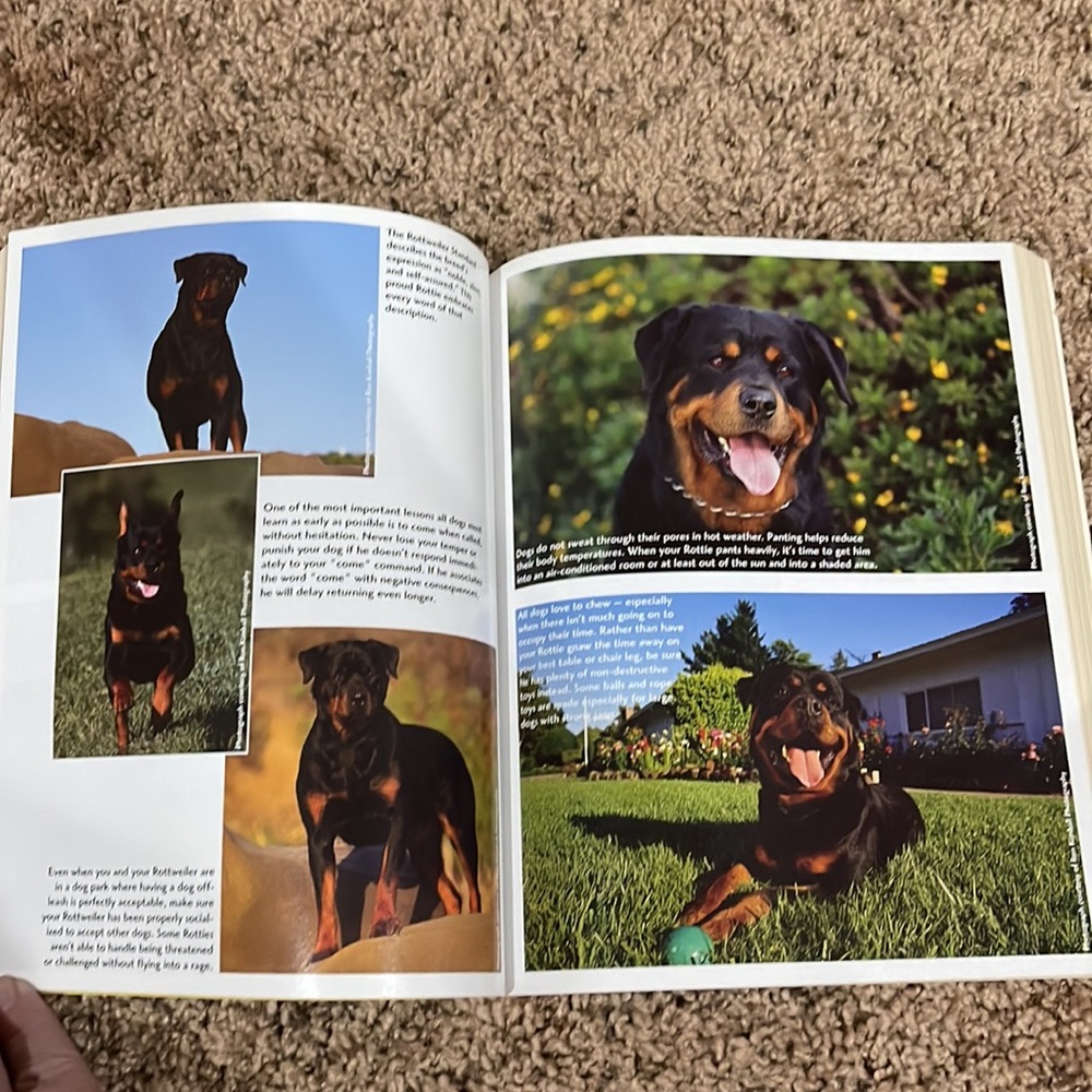 ✨ Host Pick✨ 2 Rottweiler books. - Picture 10 of 13